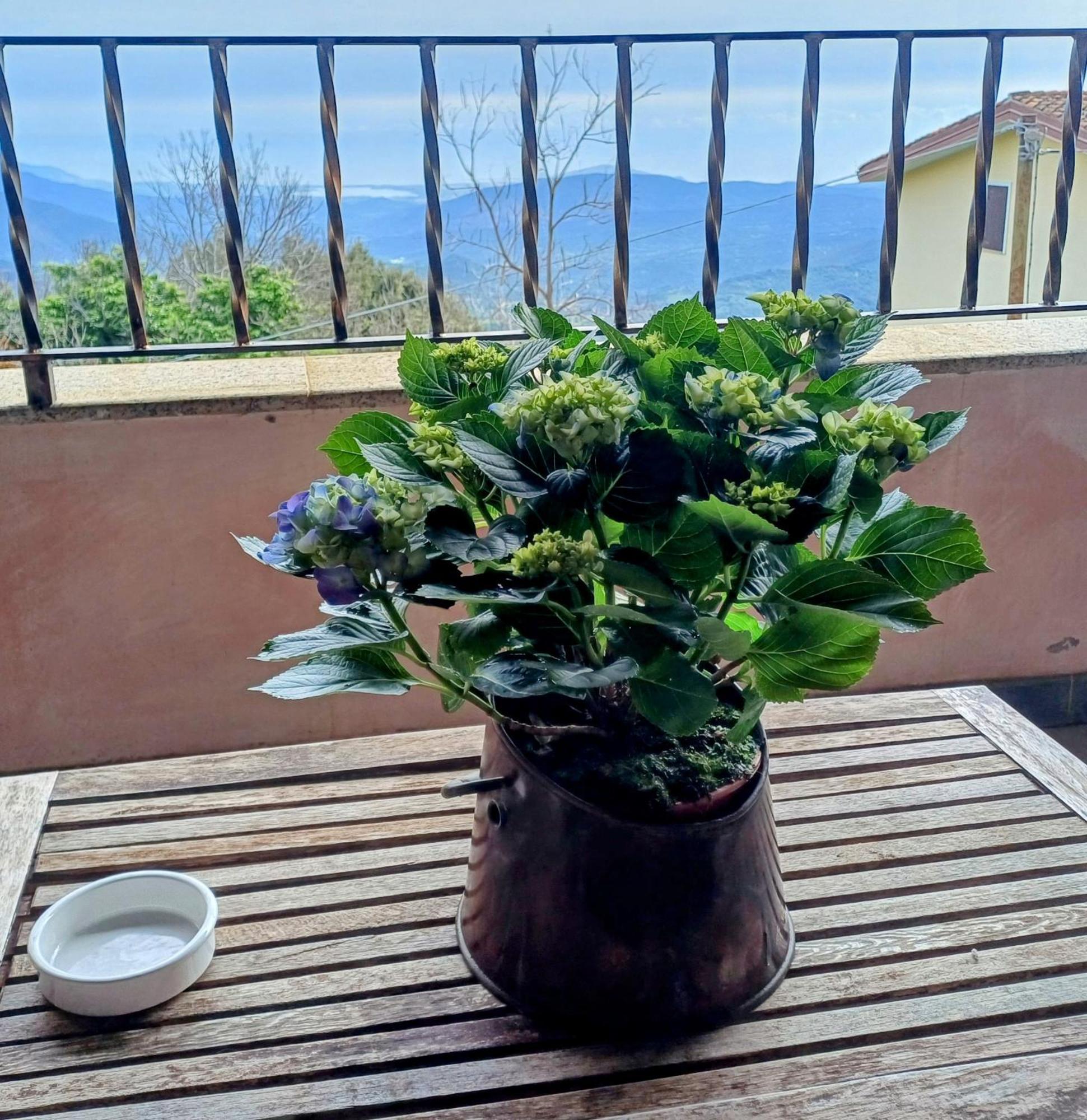 Monti E Mare Bed and Breakfast Lanusei Buitenkant foto